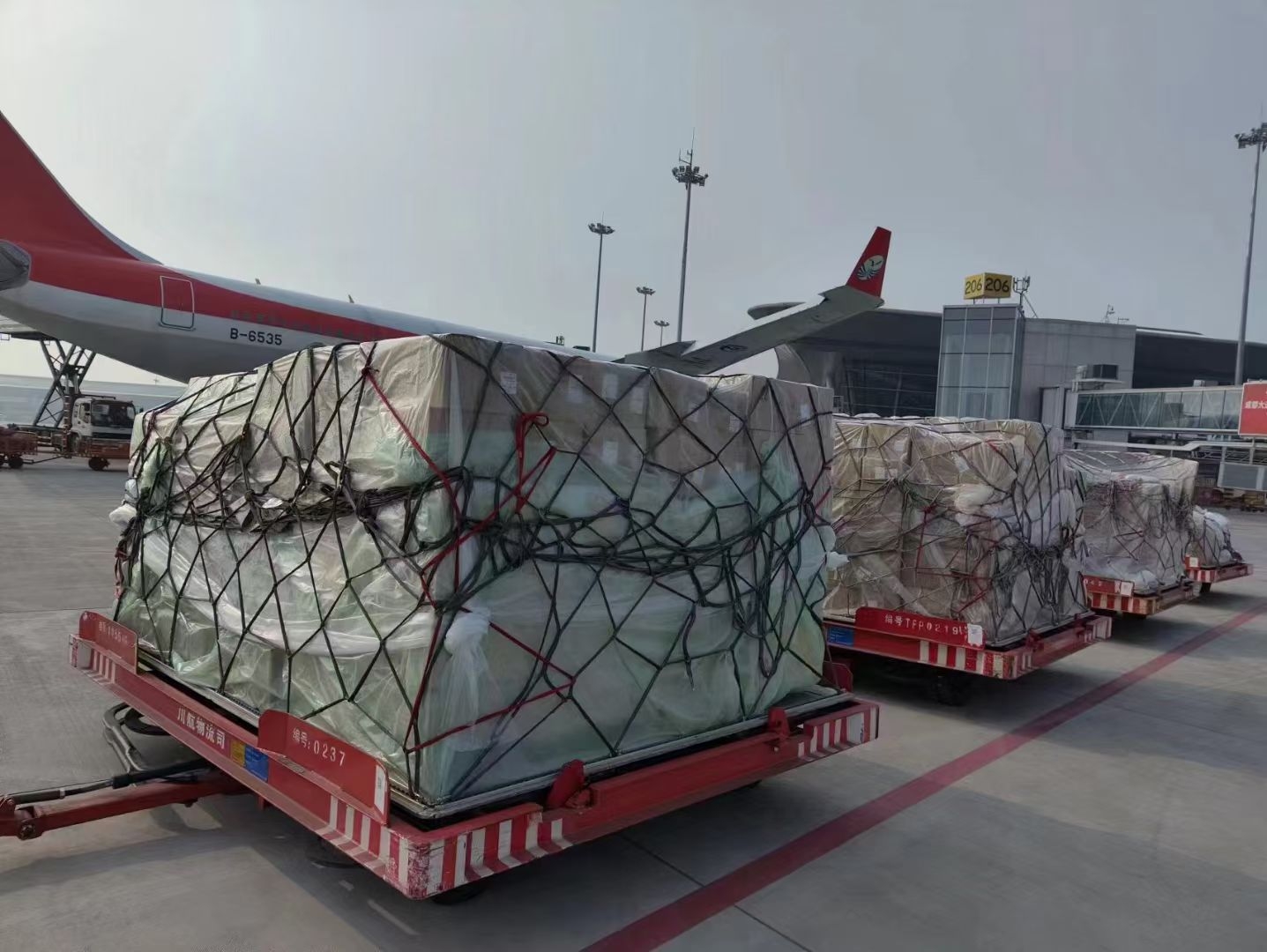 防控物资空运、疫苗试剂空运