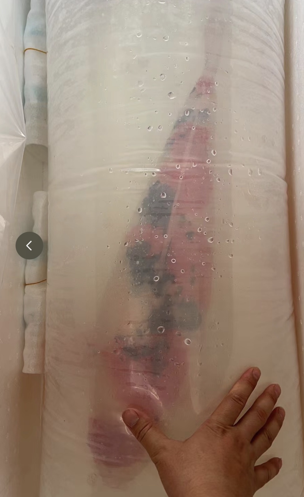 鲜活空运